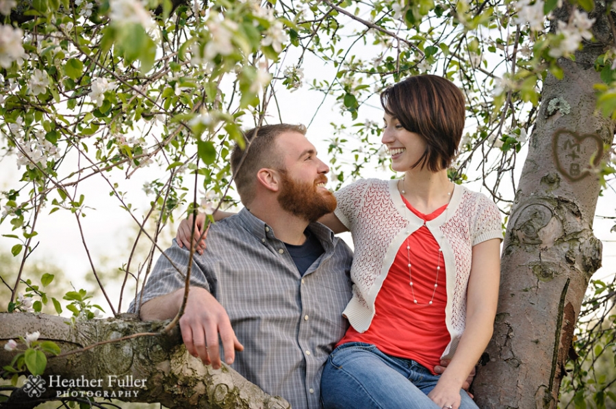  - apple_tree_blossoms_couple_sitting_in_tree_engagement_photos(pp_w900_h598)